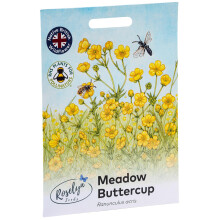 Roselyn Seeds Meadow Buttercup Seed | Perennial Wildflower Seeds for Planting Spring & Autumn | 3 Grams, Approx. 1200 Seeds