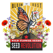 Seed Revolution - 15 Varieties Native Wild Flower Seeds - Bloom or Bust Meadow Mix- Shade Friendly Wildflower Seeds for Planting UK - Native Gardening