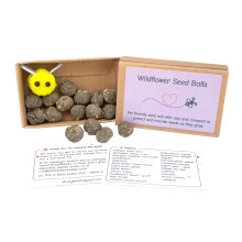 UK-Grown Pet Friendly Wildflower Seed Balls ? Box of 16 | 60?100 Seeds per Ball | Bee & Butterfly Friendly | Easy to Grow | Eco-Friendly Garden Gift |