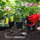 Crack Weeder Herramienta Para Malezas Acero Inoxidable Mango Espátula 6