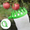 Accesorio Para Recolector De Frutas Con Cesta Ligera Verde 6