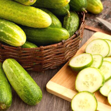 Cucumber Marketmore Seeds ? Easy to Grow ? Home Grown - Fresh & Tasty Vegetables ? Rich in Vitamins ? for Your Beautiful Garden