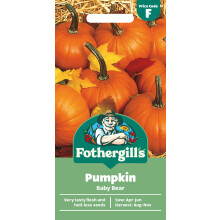 Fothergill's Pumpkin Baby Bear, Vegetable Seeds, 10 Seeds, Sow: Apr-Jun, Orange