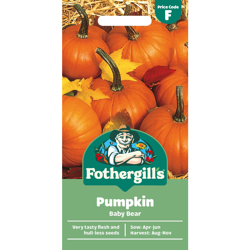 Mr Fothergills Fothergill's Pumpkin Baby Bear, Vegetable Seeds, 10 Seeds, Sow: Apr-Jun, Orange