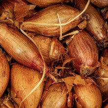 Shallot Zebrune Seeds - 100 Banana Shallot Seeds - Plant and Grow Your Own Vegetables for Gardens, Pots & Allotments ? Suitable for Indoor & Outdoor