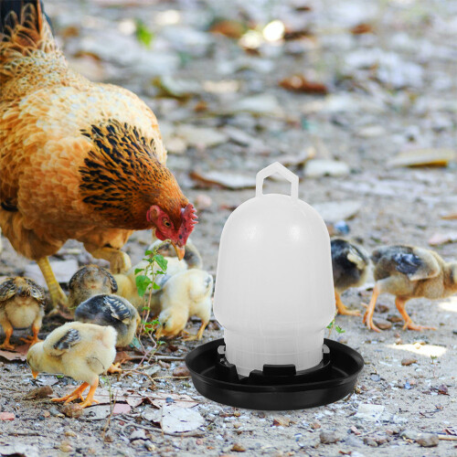 2Pcs Assorted Color Poultry Feeder Plastic Chicken Waterer for Coop 2