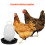 2Pcs Assorted Color Poultry Feeder Plastic Chicken Waterer for Coop 7