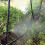 15m/49.2ft 8/11 Hose Atomizing Nozzle Connector Automatic Spraying Drip Irrigation Watering Kit 5