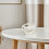 4Pcs Portable Pigeon Rest Stand Plastic Fixed Rack for Bird Medication 4