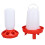 Chick Feeder Large Capacity Plastic Automatic Easy to Clean Chick Waterer for Farm Red 2