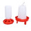 Chick Feeder Large Capacity Plastic Automatic Easy to Clean Chick Waterer for Farm Red 5