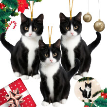 Black Cat Acrylic Christmas Ornament Set 3 Pieces