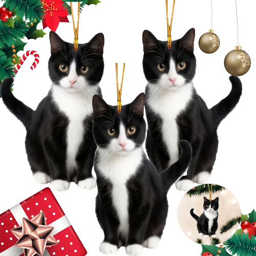 Black Cat Acrylic Christmas Ornament Set 3 Pieces
