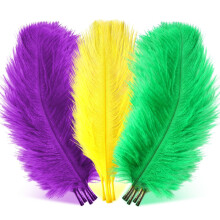 Ostrich Feathers Colored 12 pcs 10-12 inch