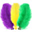 Ostrich Feathers Colored 12 pcs 10-12 inch 1