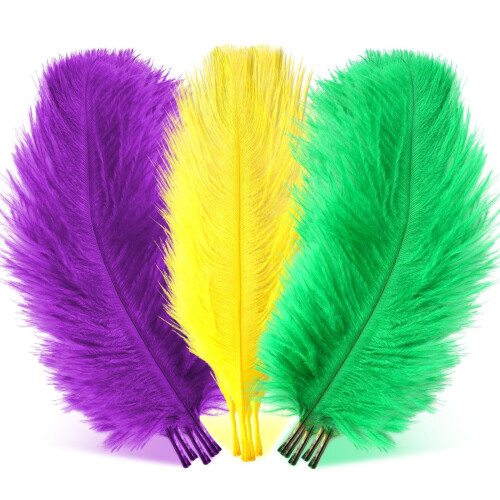 Ostrich Feathers Colored 12 pcs 10-12 inch