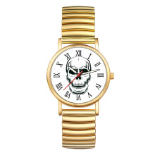 Reloj con correa elástica y diseño de calavera para hombre y mujer: reloj analógico de cuarzo ultrafino con escala de números romanos, ideal para