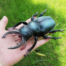 Kusliga naturtrogna falska spindlar cricket nyckelpiga gräshoppa insekt simuleringsmodell leksaker simulering vilda djur modell ornament