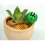 50Pz Fertilizer Box Plastica Multicolore Per Piante Bonsai E Giardino 10