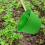 Duurzame Plastic Waterdipper Voor En Buiten 3