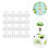 150Pcs Transparent Humidity Domes For Hydroponic Plant Growing 4
