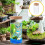 2 Pezzi Contenitore In Vetro Per Terrario E Piante Da Interno 6