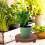 Plantenpotstander Bloempotstander Desktop Rustic Stijl 9
