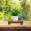 Plantenpotstander Bloempotstander Desktop Rustic Stijl 11