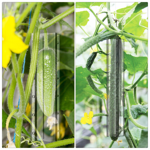 4 Unidades Moldes Para Crescimento E Modelagem De Pepino 2