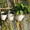 6Sets Plastic Zelfbewaterende Wandbloempot Wit Voor 10