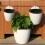 6Sets Plastic Zelfbewaterende Wandbloempot Wit Voor 11