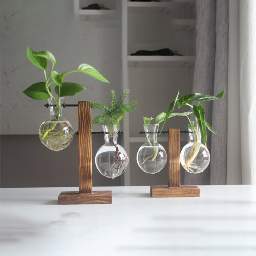 1Set Hydroponisch Glasvaasje Met Standaard En Modern Design 1
