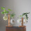 1Set Hydroponisch Glasvaasje Met Standaard En Modern Design 3