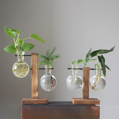 1Set Hydroponisch Glasvaasje Met Standaard En Modern Design 2