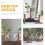 1Set Hydroponisch Glasvaasje Met Standaard En Modern Design 9