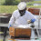 Beekeeping Tools Manuell Biodlare Smoker Mini Munstycke Rostfritt Stål 4