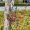 3St Bruin Vogelhuis Buiten Nesting Material Set 8