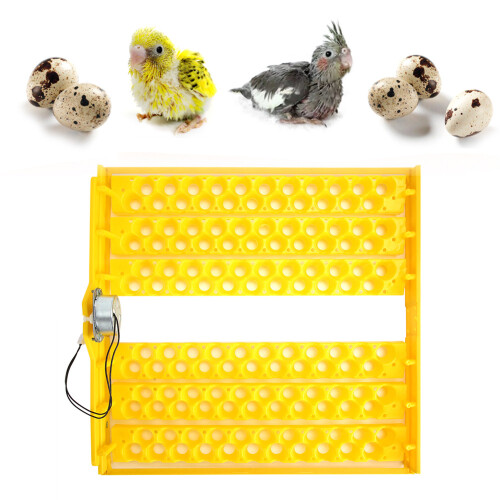 132pcs Eggs Automatic Egg Turner Turning Tray for Automatic Egg Incubator Tray Incubation Accessory110V 2
