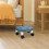 Ergonomischer Rollhocker Mit Quadratischem Sitz 33,5 X 26 X 15 Cm 7