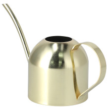 Vintage Gold Stainless Steel 1000ml Indoor Watering Can for Plants