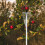 Harvesting Net Tool Fruit Collector Oogstnet Wit 1 Stuk 6