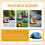 Compact Ontwerp Ladybug Plantenpot 1 9