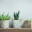 1Seaupot En Fer Vert Vintage Pour Décoration De 5