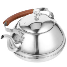 Stainless Steel Tea Kettle with Built in Filter for Home Silver Metal Pot