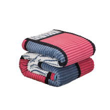 Polyester Blanket for Couch, Fluffy Plush Warm Fuzzy Blanket for Women and Men, Cozy Thick Soft Blanket for Bed 39*59 Inch Red