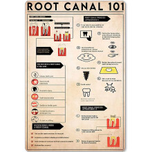 Dentist Knowledge Metal Sign – Root Canal 101 Infographic Poster (Aluminum, 12x16") for Clinic, Home, Kitchen, Bedroom
