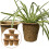 6 Pcs Succulent Planting Container Flower Holders Light Brown 2