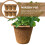 6 Pcs Succulent Planting Container Flower Holders Light Brown 4