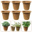 6 Pcs Succulent Planting Container Flower Holders Light Brown 5