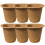 6 Pcs Succulent Planting Container Flower Holders Light Brown 6